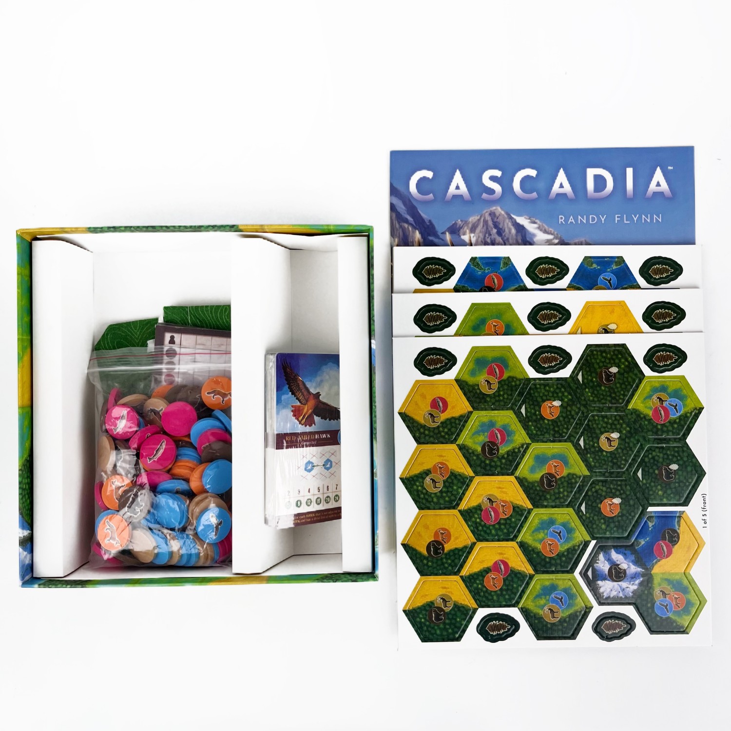 1-4 Players Cascadia Boardgame – Board Game Fun recenzja i cena